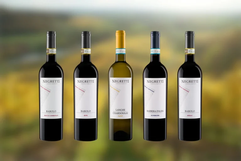 Bottiglie di vino ambientate in vigna